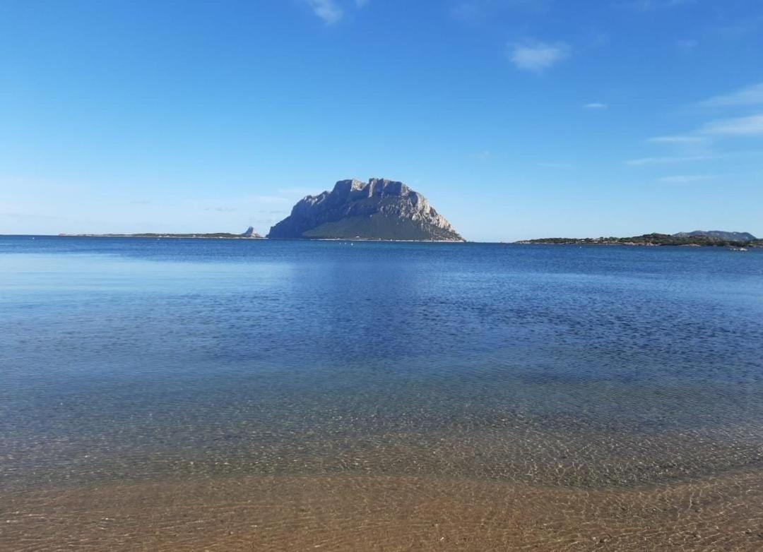 Magic Dalu Con Posto Auto Apartment Olbia
