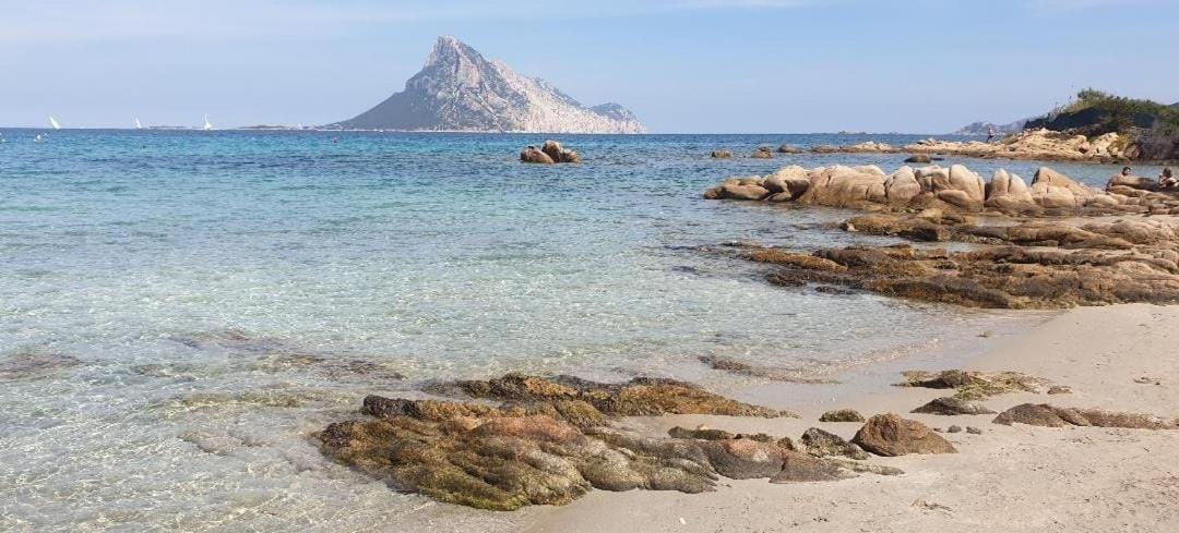 Appartement Magic Dalu Con Posto Auto Olbia